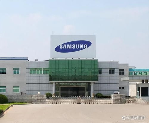 广东东莞已倒闭的十个大厂回顾